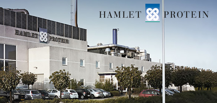 Hamlet Protein
