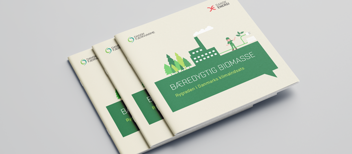 Biomasse-brochure