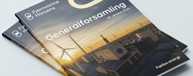 Generalforsamling 2024