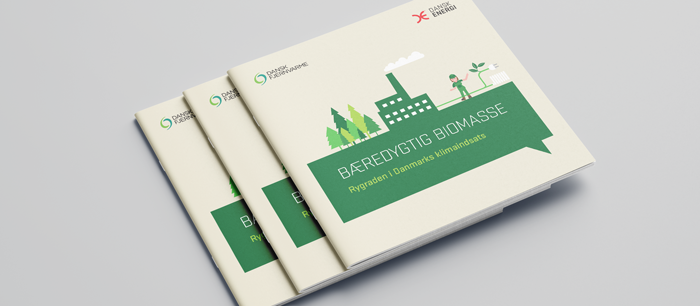 biomasse-brochure