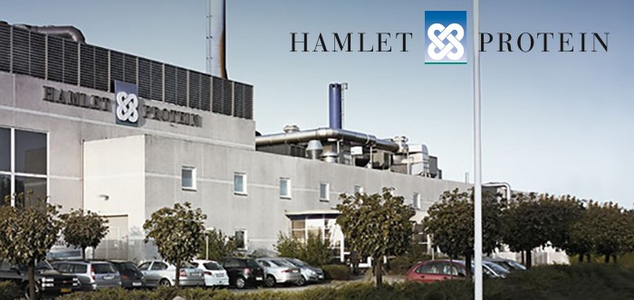 Hamlet Protein